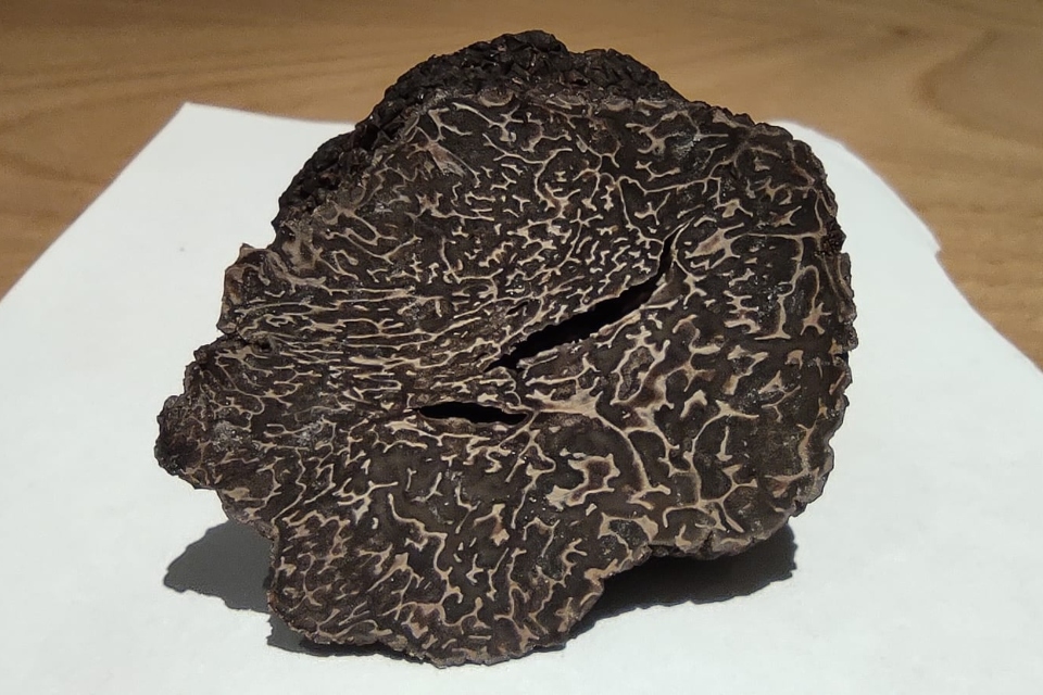 Il Tartufo Nero a domicilio