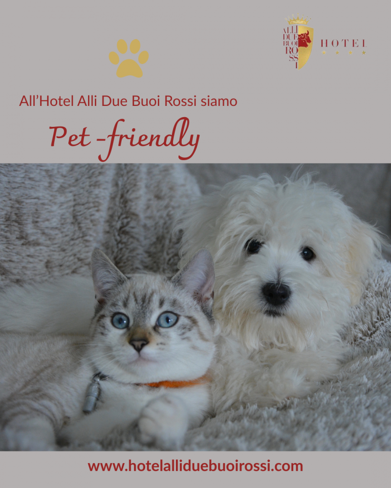  L'Hotel Alli Due Buoi Rossi e Pet Friendly!