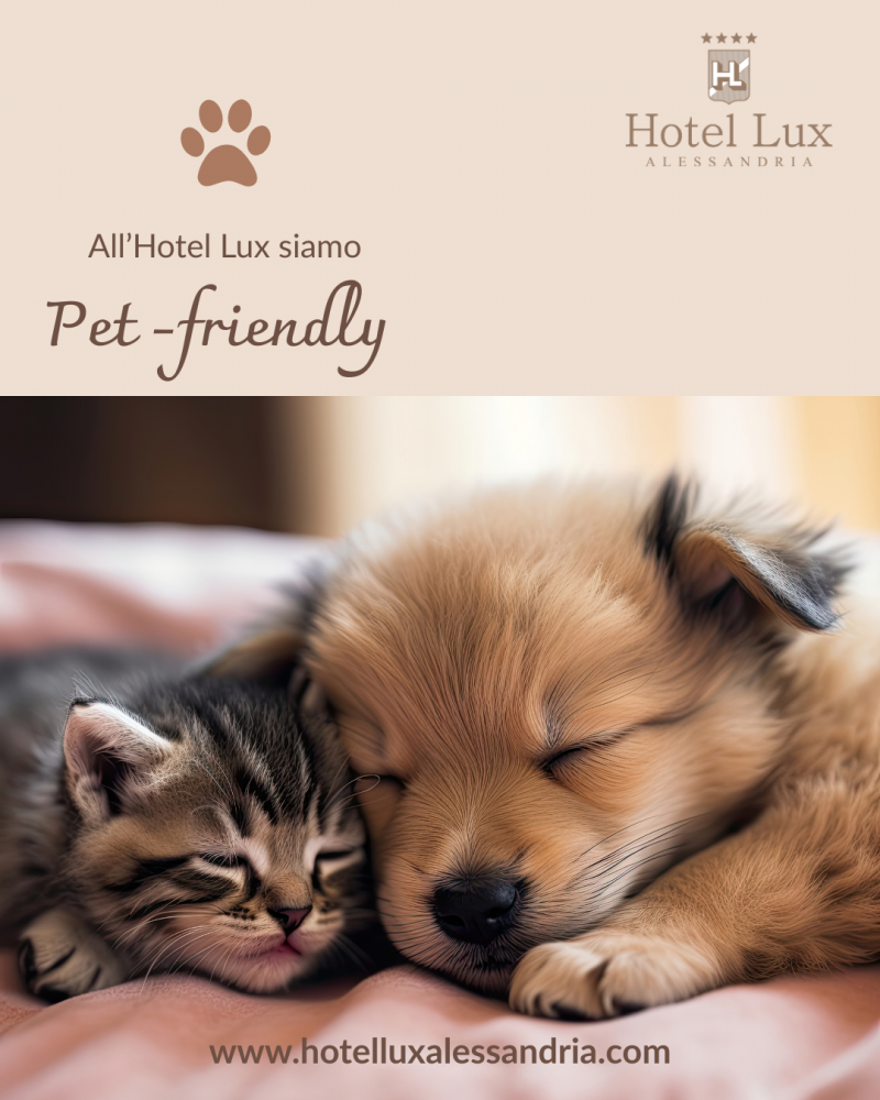 L'hotel Lux Ã¨ Pet Friendly!